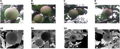 Fast Location and Recognition of Green Apple Based on RGB-D Image